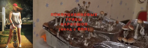 СК Алексин
